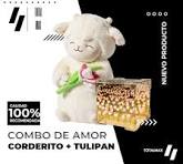 PELUCHE CORDEITO TULIPAN + TULIPAN INFINITO CAJA DE REGALO